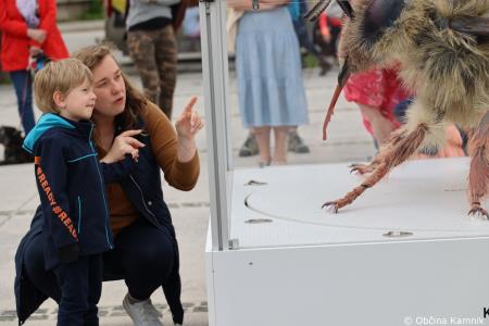 Čebela velikanka potuje po Kamniku (58)